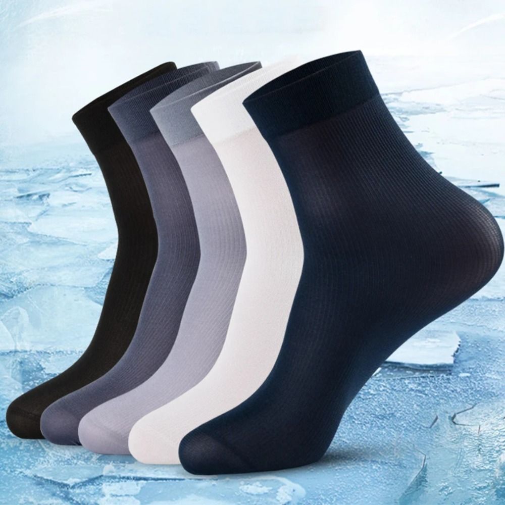 10 Paar Mannen Ijs Zijde Sokke - Silk Sock Bamboo recensie en prijs