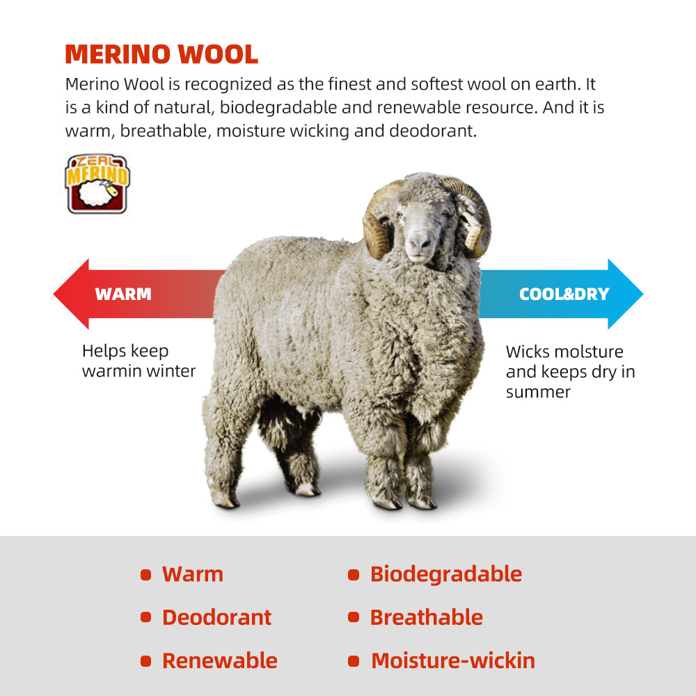 ZEALWOOD Hardloopsokken van me - Wool Hiking Sock recensie en prijs